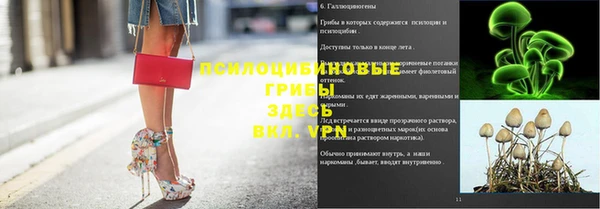ПСИЛОЦИБИНОВЫЕ ГРИБЫ Армянск
